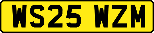 WS25WZM