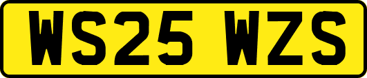 WS25WZS