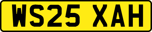 WS25XAH