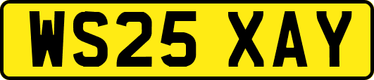 WS25XAY