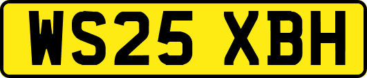 WS25XBH
