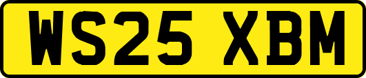 WS25XBM