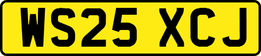 WS25XCJ