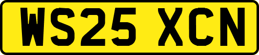 WS25XCN