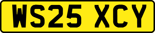 WS25XCY