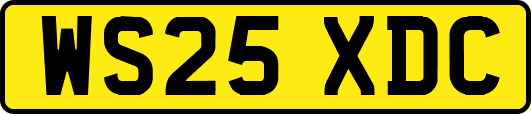 WS25XDC