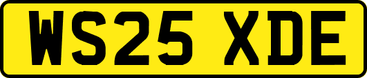 WS25XDE