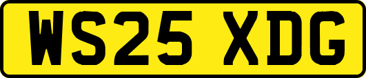 WS25XDG