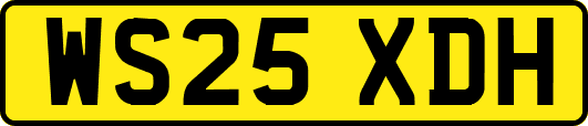 WS25XDH