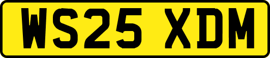 WS25XDM