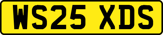 WS25XDS