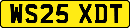 WS25XDT