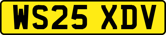 WS25XDV