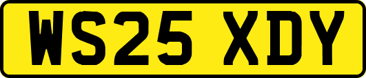 WS25XDY