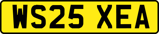 WS25XEA