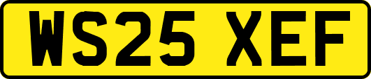 WS25XEF