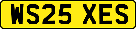 WS25XES
