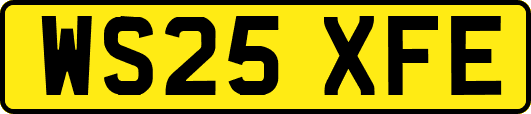 WS25XFE