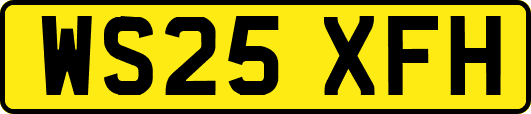 WS25XFH