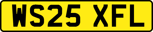 WS25XFL