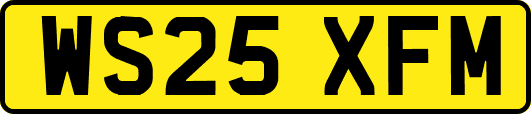 WS25XFM