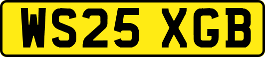 WS25XGB