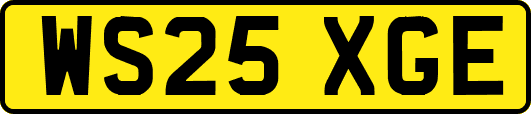 WS25XGE
