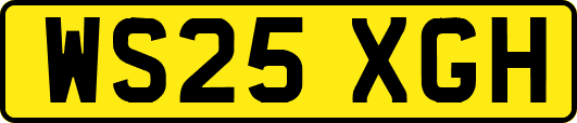 WS25XGH