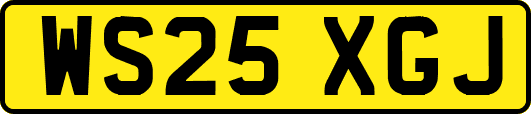 WS25XGJ