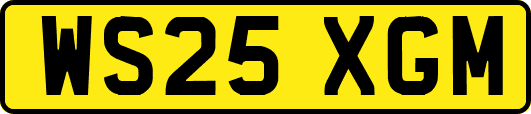 WS25XGM