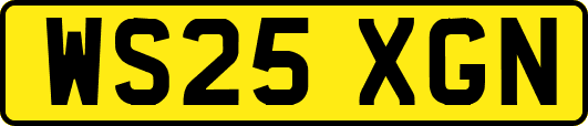 WS25XGN
