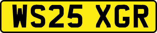WS25XGR