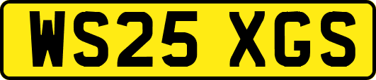 WS25XGS
