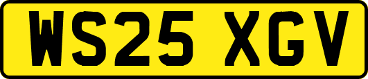 WS25XGV