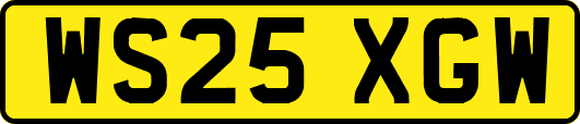 WS25XGW