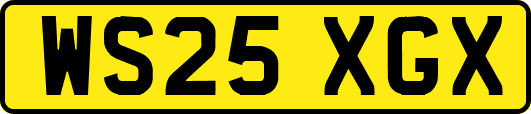 WS25XGX