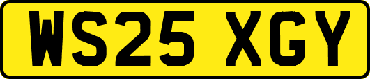 WS25XGY