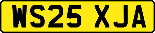 WS25XJA