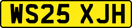 WS25XJH