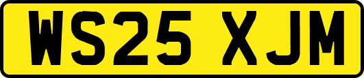 WS25XJM