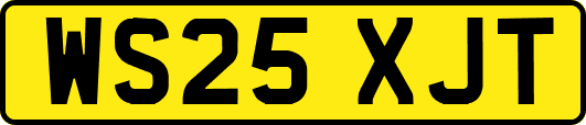 WS25XJT
