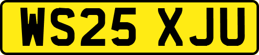 WS25XJU