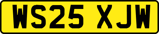 WS25XJW