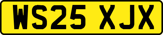 WS25XJX