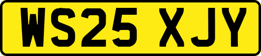 WS25XJY