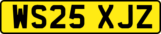WS25XJZ