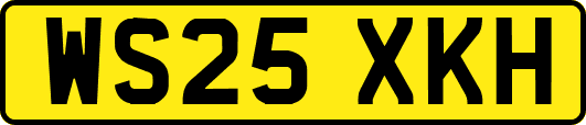 WS25XKH