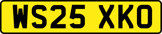 WS25XKO