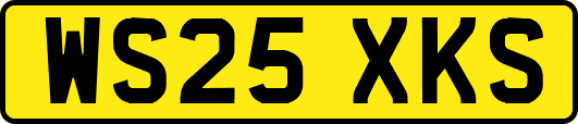 WS25XKS