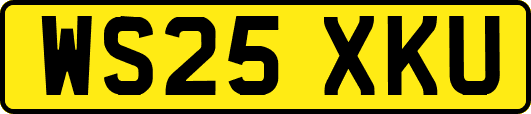 WS25XKU